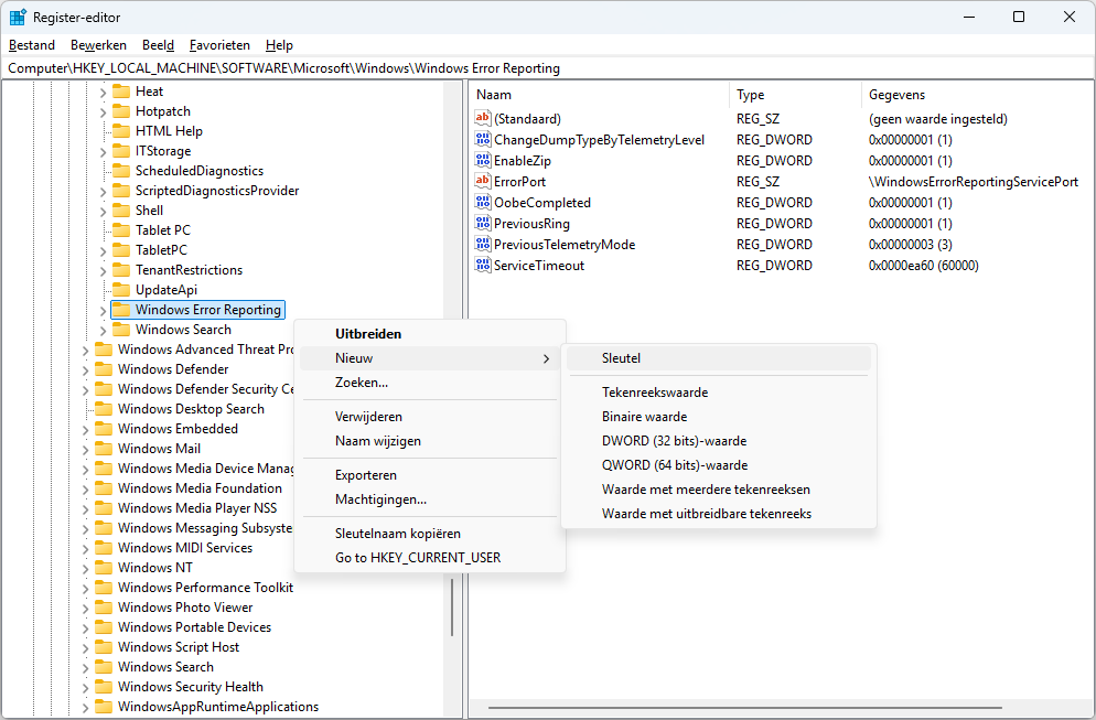 Registry - LocalDumps toevoegen
